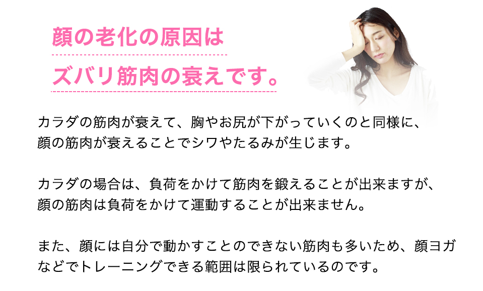 顔の老化の原因はズバリ筋肉の衰えです。