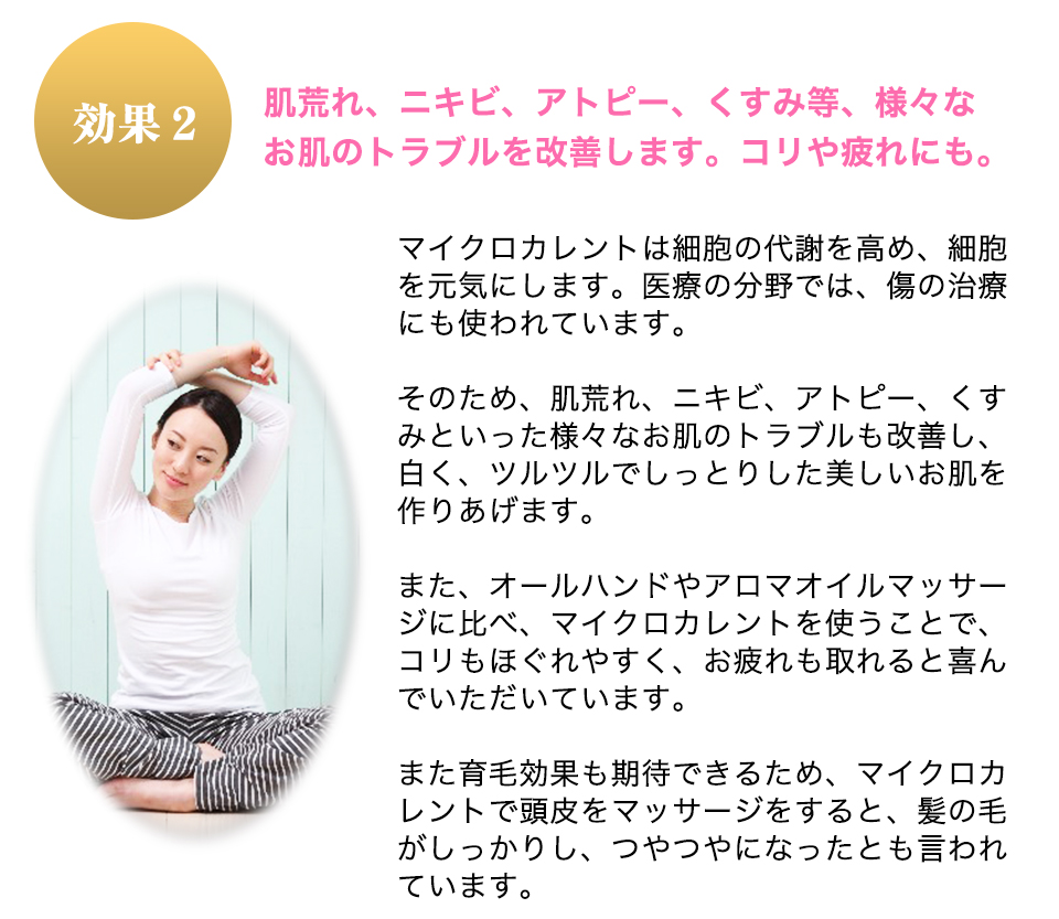 肌荒れ、ニキビ、アトピー、くすみ等、様々なお肌のトラブルを改善します。コリや疲れにも。